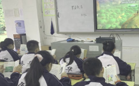 上課睡覺檢討書500字