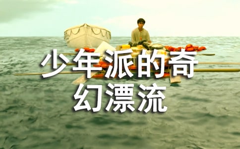 少年派的奇幻漂流觀后感優(yōu)秀