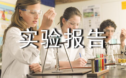 網(wǎng)絡(luò)管理 實驗報告2 域名申請