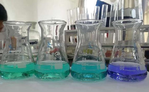 建立語文教學(xué)實(shí)驗(yàn)室