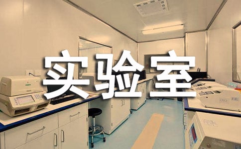 С�W�ƌW����ҹ����ƶȣ����x11ƪ��