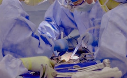 �ضȸ�Ѫ�����ļ�ȱѪ�и������\���g������̎��