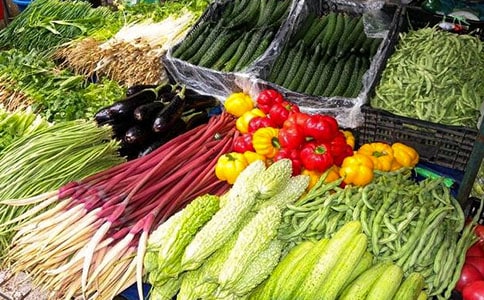 蔬菜種植規(guī)劃方案