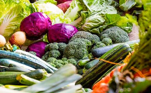 �߲˻��(d��ng)����(15ƪ)