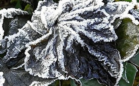 ƽ�h(yu��n)�h��45��˪����׃��Ҏ(gu��)��