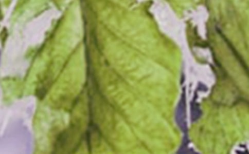 ��ζ��˪�����ķ���