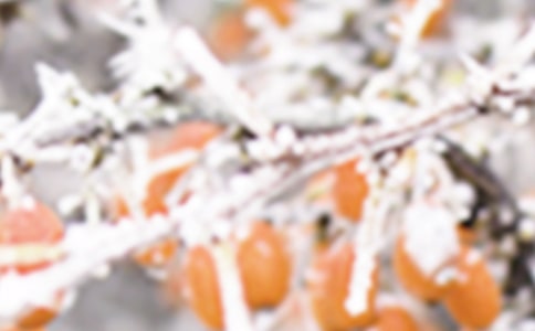 �����r(n��ng)�^(q��)1958-2007��K˪����׃��څ��