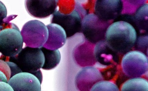 �茑ˮ���ľ���