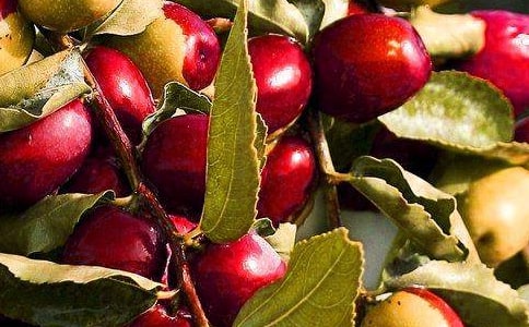 �óԵ�ˮ������