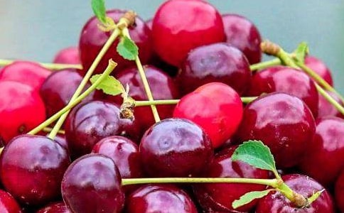 �����ˮ�����ģ����x39ƪ��