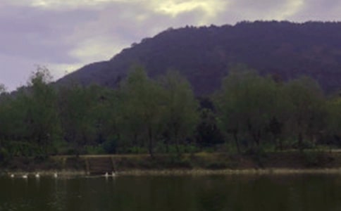 ˮ�찲ȫ��Ѵ��������