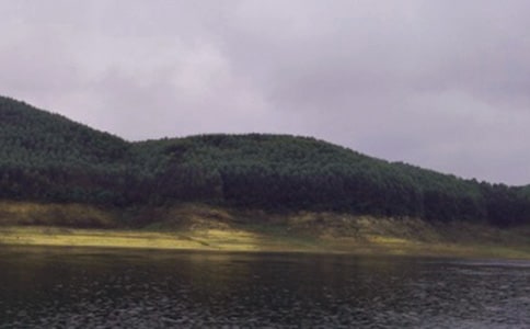 關(guān)門石水庫(kù)游記作文(精選15篇)