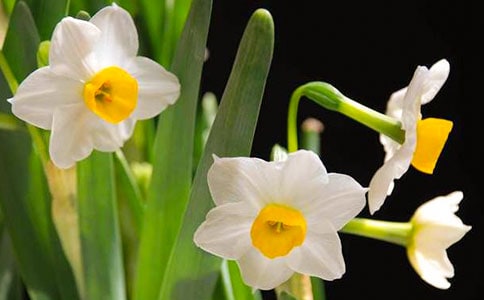 ������ˮ�����x���