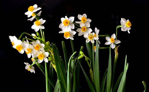 ��������ˮ�����x���