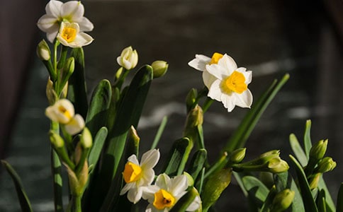 ˮ���^����ӛ800