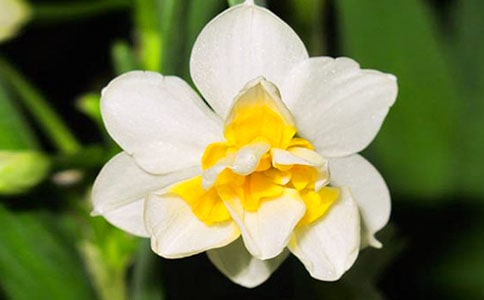 �^����ӛ��ˮ�ɻ���