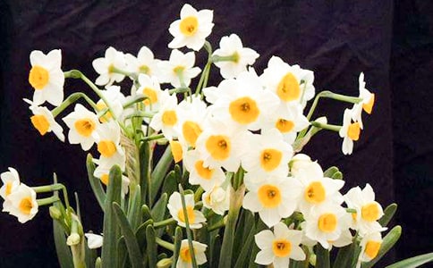 ���xˮ�ɻ��^����ӛ��ͨ��57ƪ��