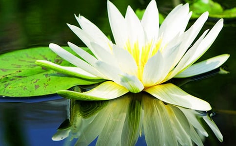 ˯ɏ��(y��u)������