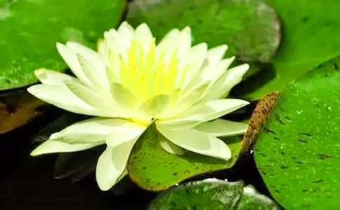 ���е�˯ɏ����750��