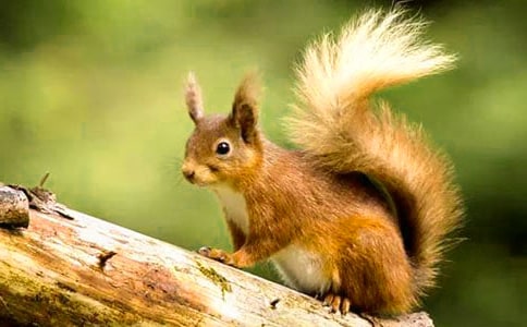 �����M(j��n)�ҁ��������x���