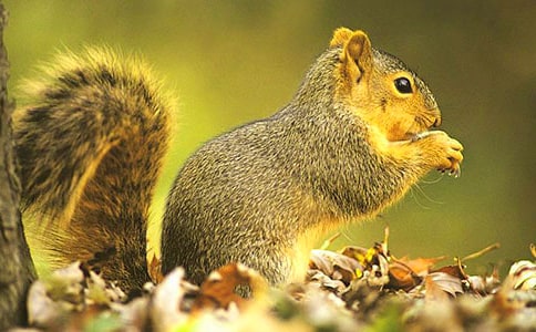 ���P�����ͯԒ����400����ƪ