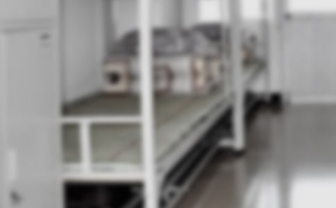 ʳ���������������l(w��i)�������ƶ�