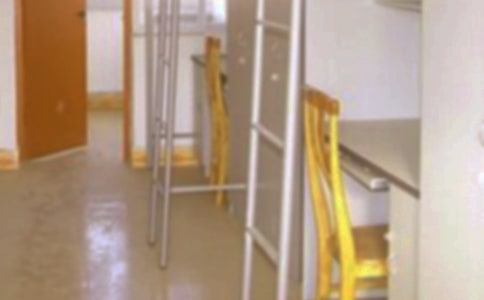 ��Ƹ���v�~(���������