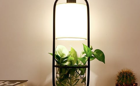 ���_(t��i)������450��