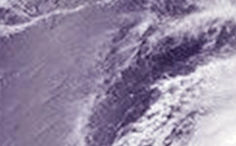 365�W(w��ng)����ӛ ��ҹ�_�L���u