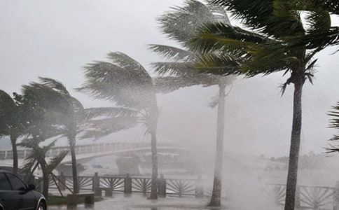 ������(qi��ng)�_(t��i)�L(f��ng)���^���