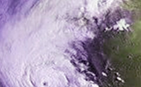 �_�L������������_�P(gu��n)���_�L������700��