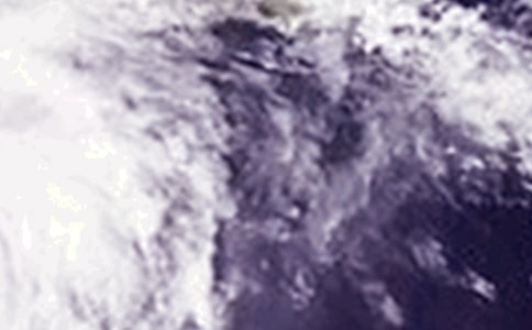 臺(tái)風(fēng)暴雨安全應(yīng)急方案