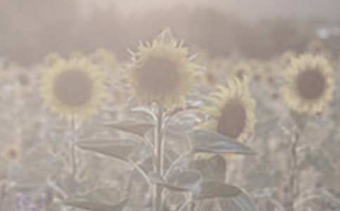 �^��̫�(y��ng)����ӛ400��