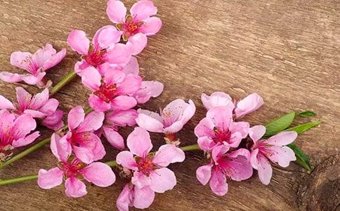 �һ���ӛ����6ƪ