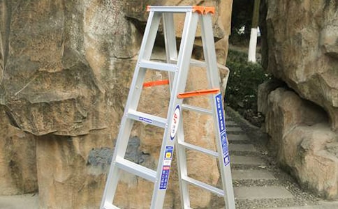 大班體育《好玩的梯子》教案