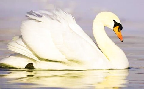 �x�����Z��Ů�����и�����