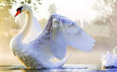 ���Z����