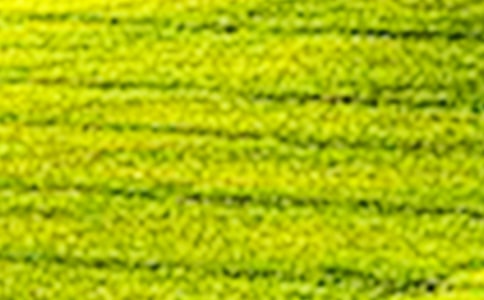 ��Ұ���ϣ������