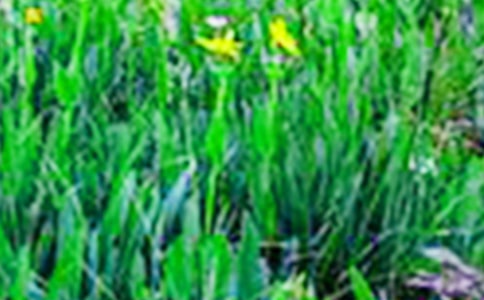 ��(sh��)�õ���������Ұ����4ƪ