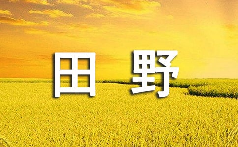 創(chuàng)業(yè),讓大學(xué)生村官“扎根”田野