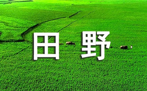 在希望的田野上作文600字(精選28篇)