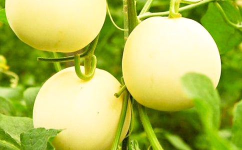 ��ʮ�ܽ̌W(xu��)��˼:�N���