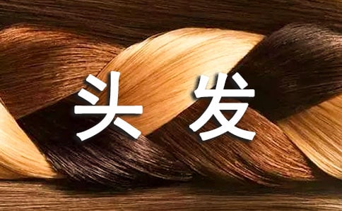 С��o���������^�l(f��)�̰�