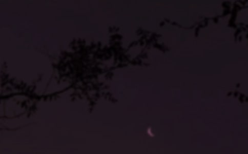 �P(gu��n)���������Z��־��(j��ng)���Z�