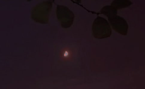 �͐�(��i)��������(w��n)�����