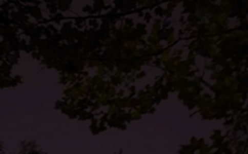 �����������Z(y��)�����x130�䣩