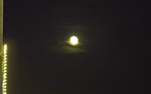 �������Z��־�F�