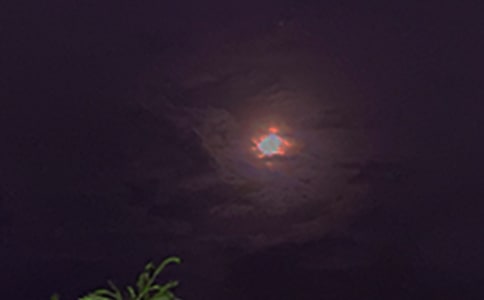 2024年優(yōu)美的晚安問(wèn)候語(yǔ)大集合60句