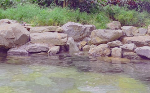 關(guān)于溫泉游記作文4篇