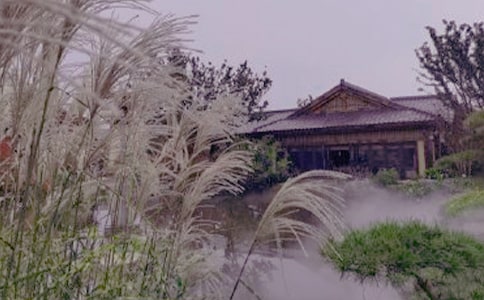 ��Ȫ��ӛ���ģ����x53ƪ��